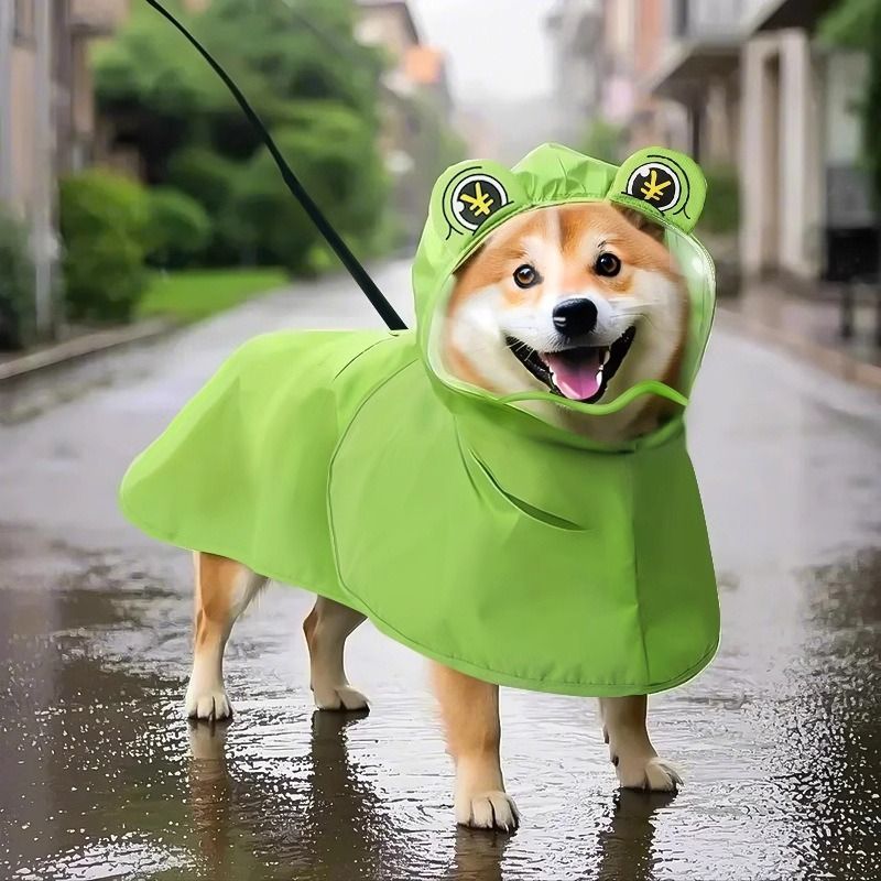 Frog Hooded Dog Raincoat