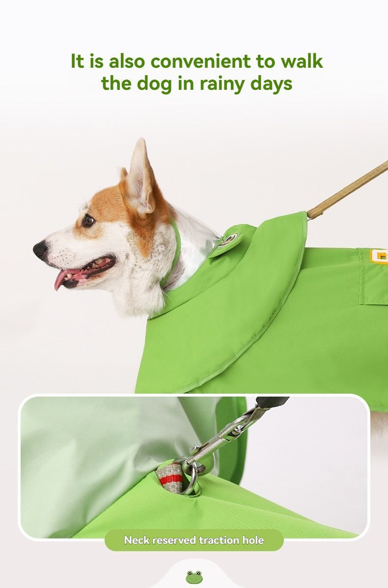 Frog Hooded Dog Raincoat