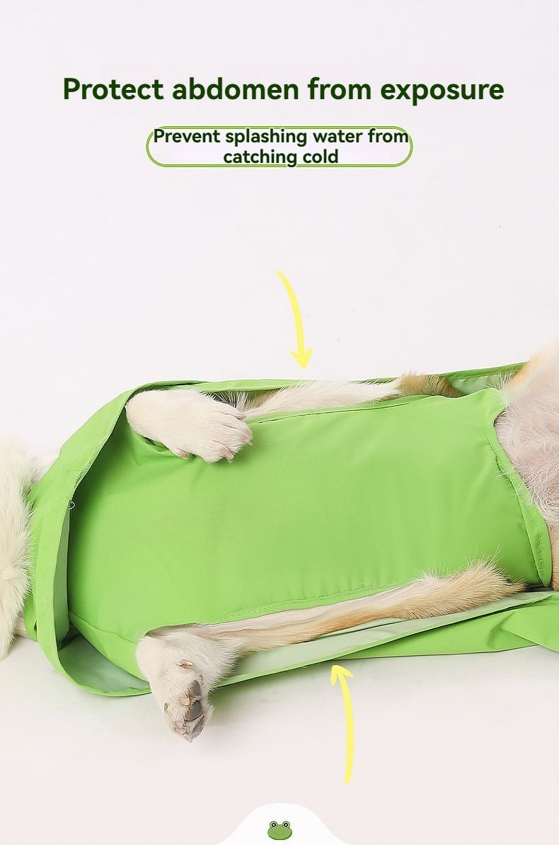 Frog Hooded Dog Raincoat