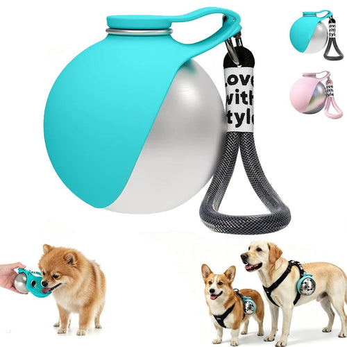 2-in-1 Travel Water Bottle & Bowl