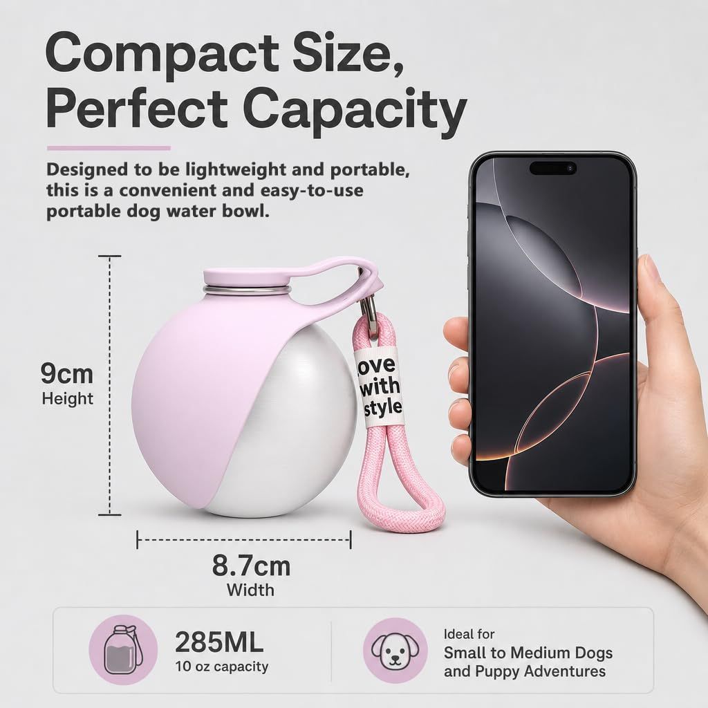 2-in-1 Travel Water Bottle & Bowl