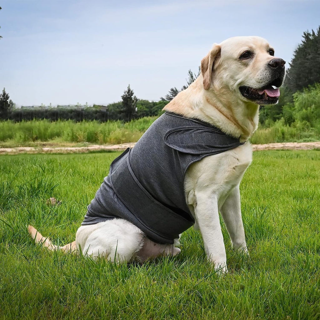 Snug Wrap Vest