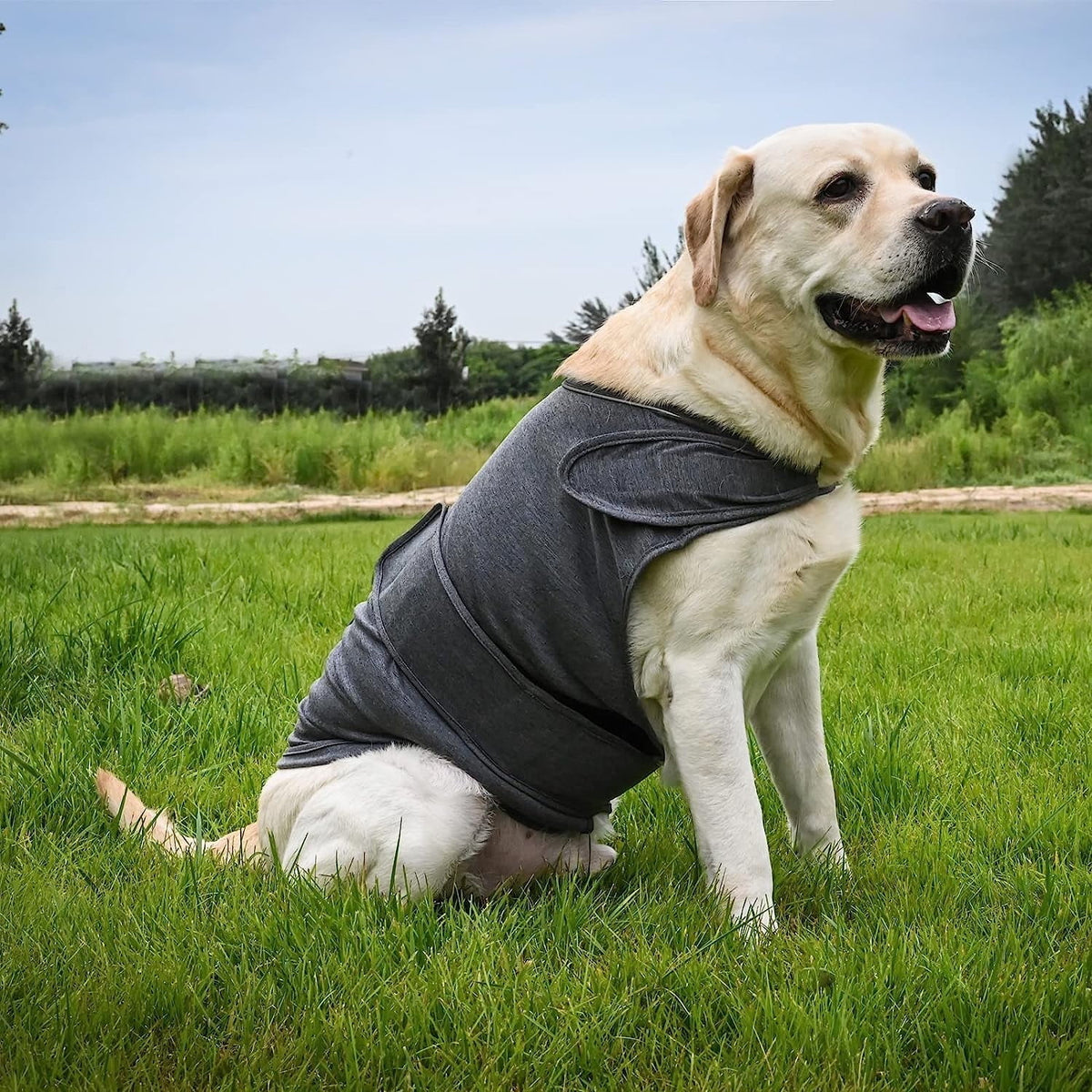 Snug Wrap Vest