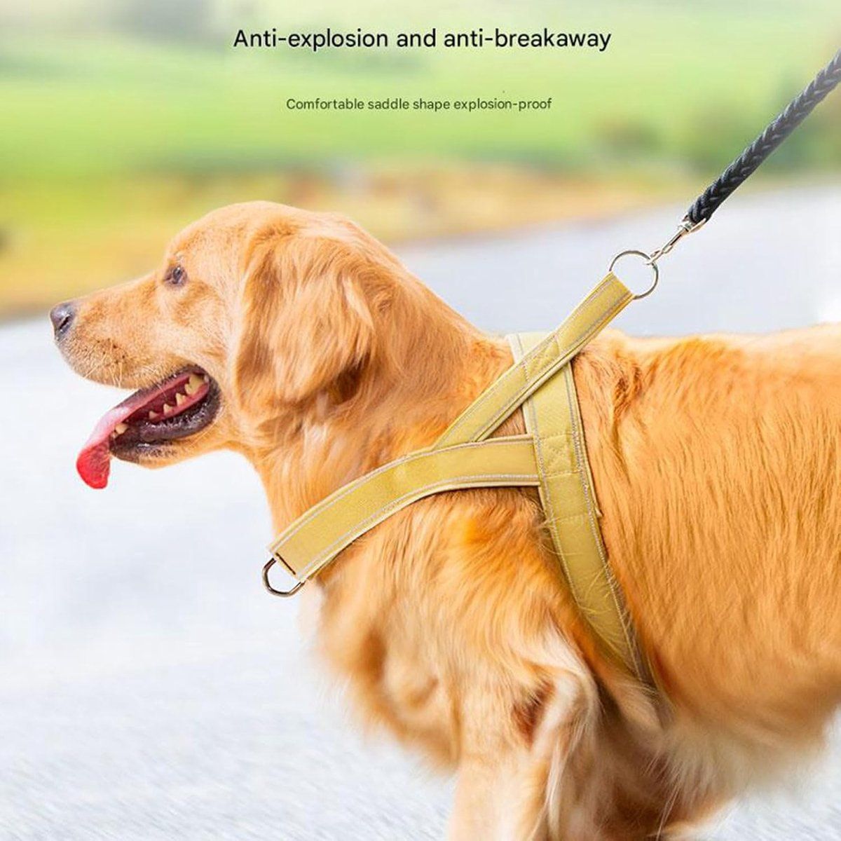 Escape-Resistant Harness
