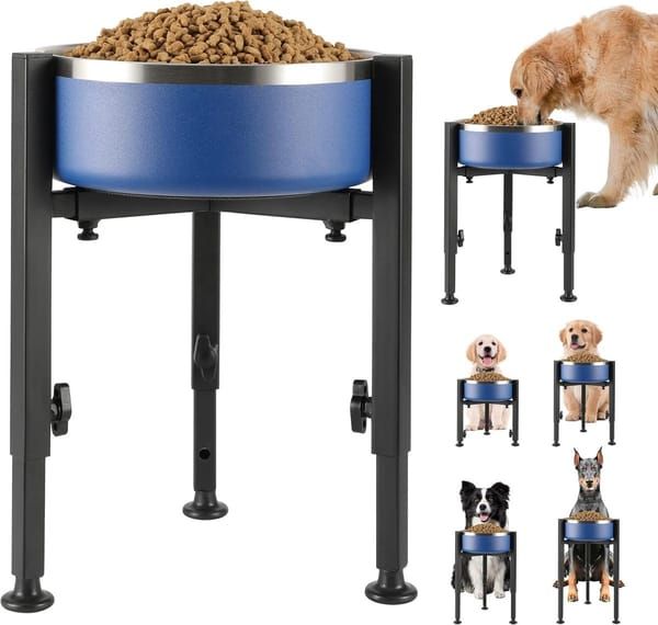 Adjustable Raised Bowl Stand