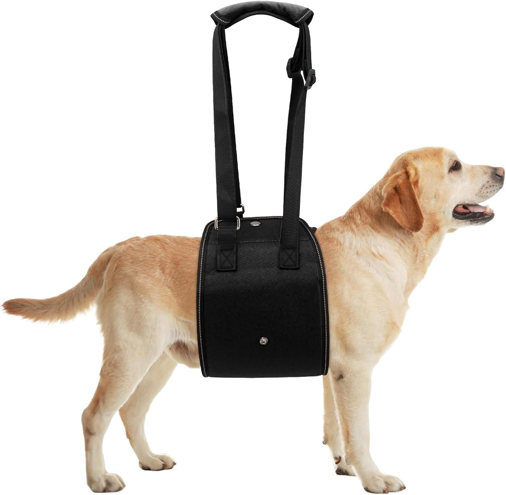 Rear Lift Harness