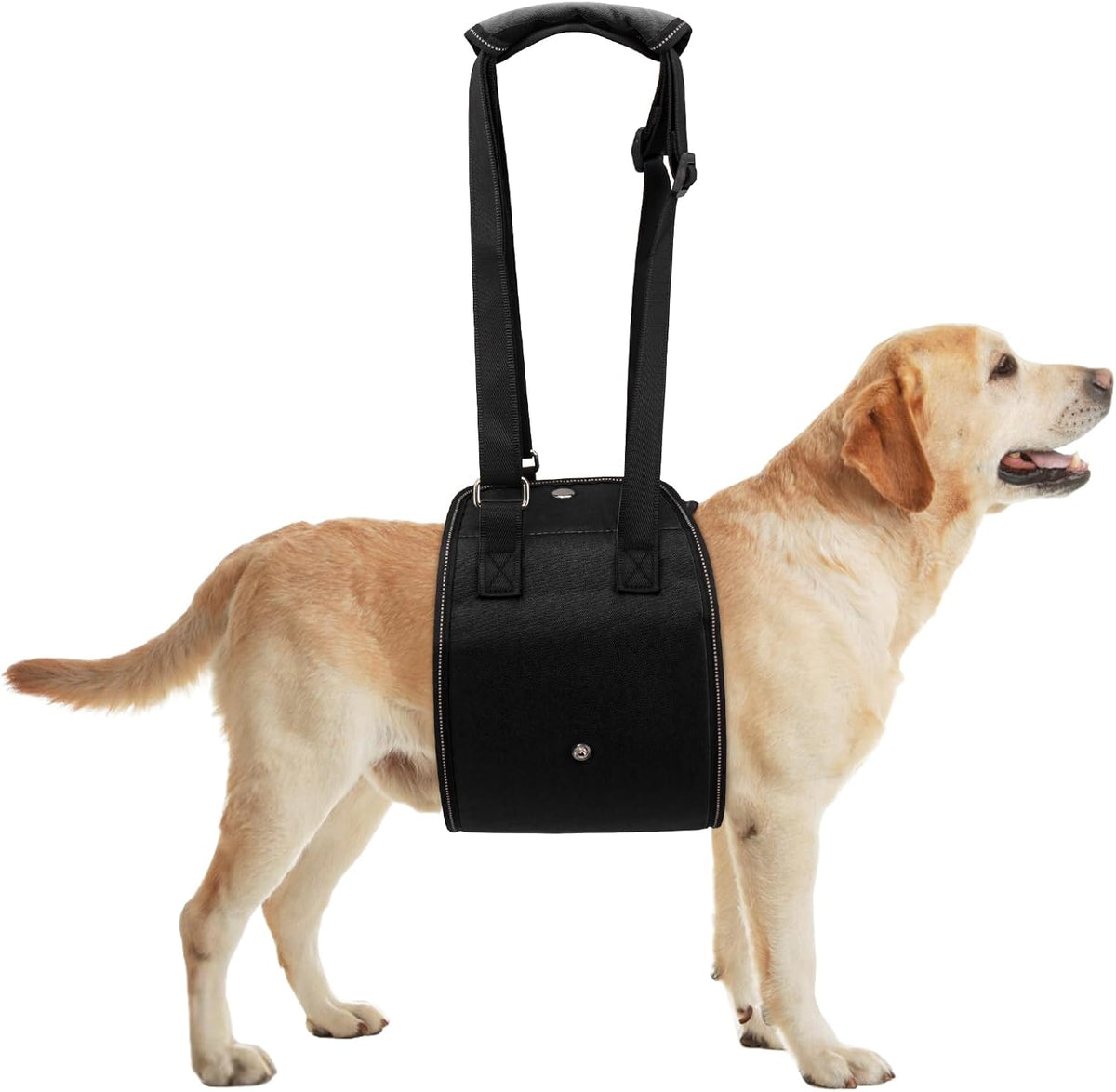 Rear Lift Harness